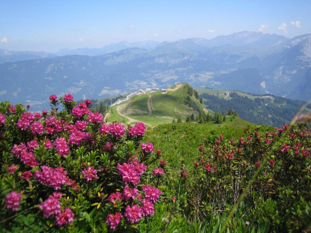Samoens Apartment 2 Bedroom 50M2 Modern And Well Equipt Zewnętrze zdjęcie
